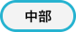 中部